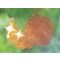 Berry