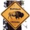 Buffalo