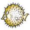 OpenBSD