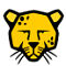 Pardus
